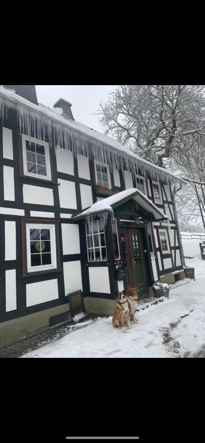 Affittacamere Berghof Schmitte Winterberg Esterno foto