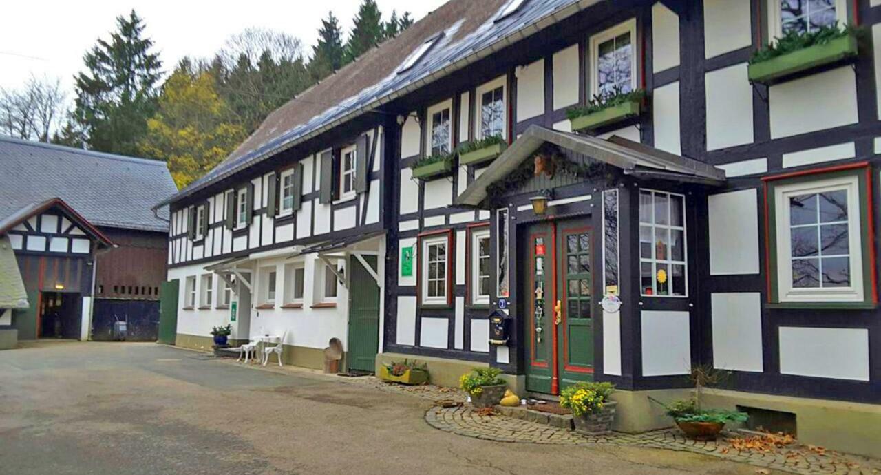 Affittacamere Berghof Schmitte Winterberg Esterno foto