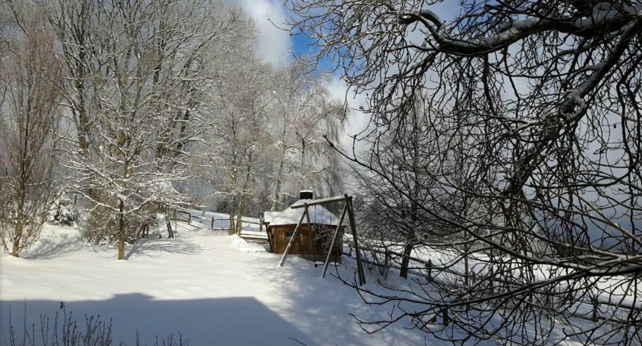 Affittacamere Berghof Schmitte Winterberg Esterno foto