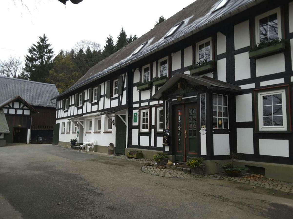 Affittacamere Berghof Schmitte Winterberg Esterno foto