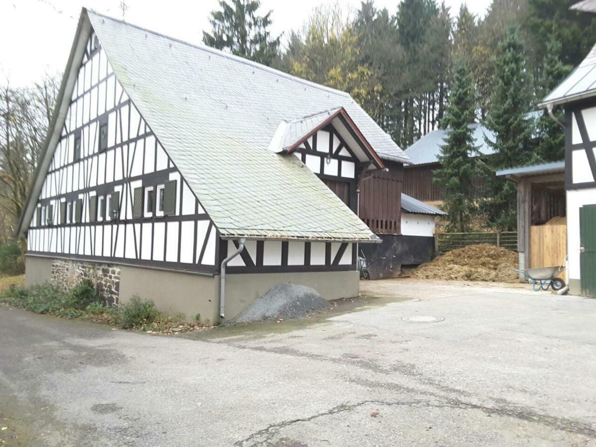 Affittacamere Berghof Schmitte Winterberg Esterno foto